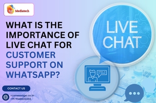 what is the Importance of Live Chat for Customer Support on WhatsApp?